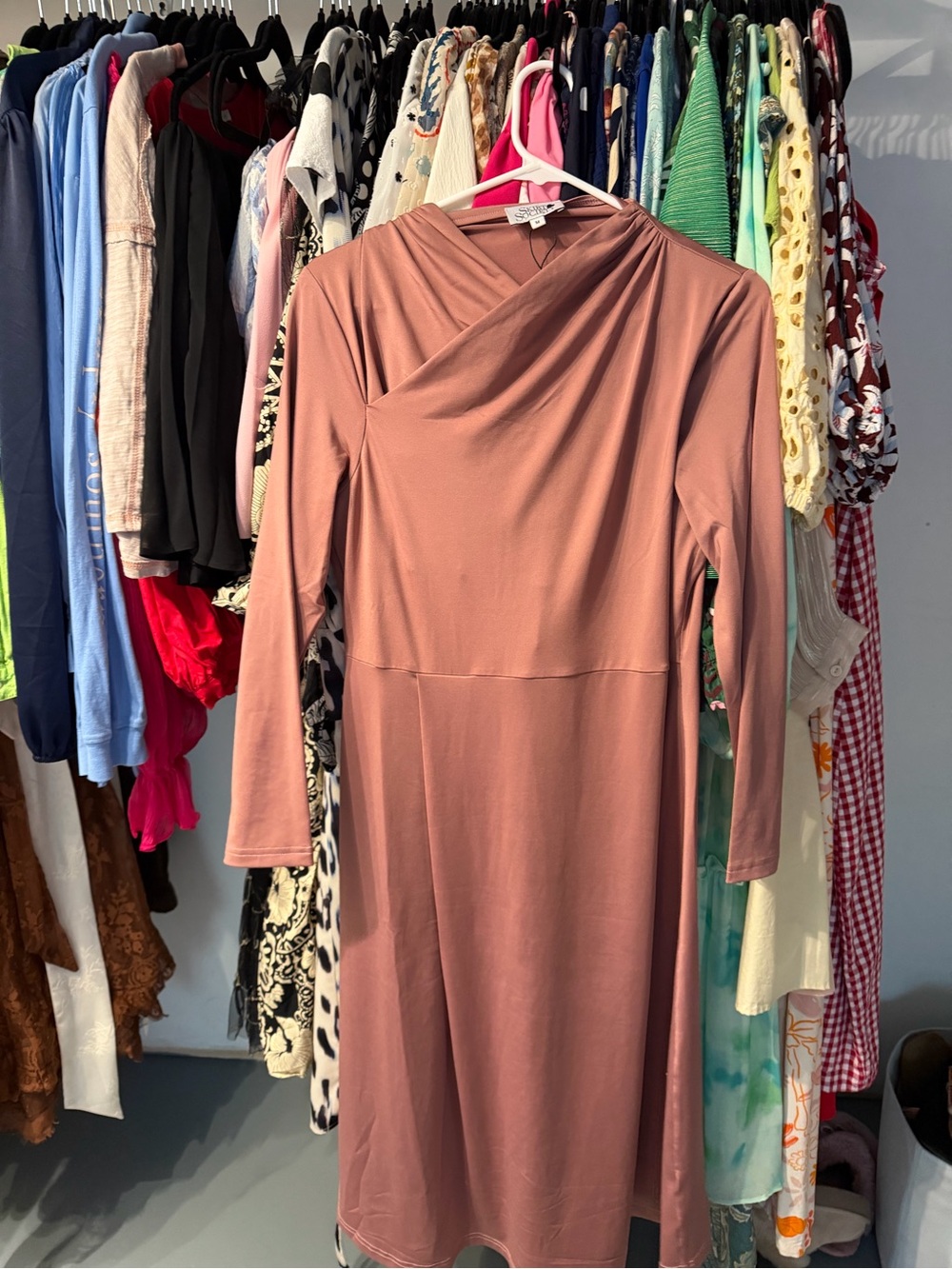 Skirt Society Swim Dress